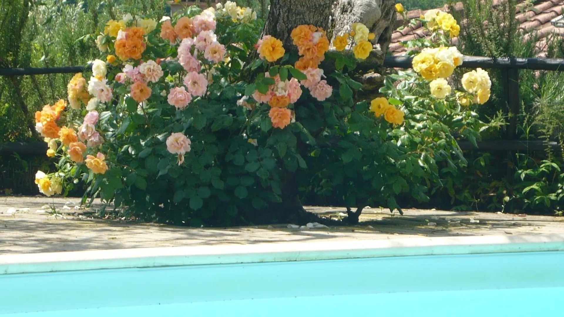 Boutique Cottage In Poggibonsi With Pool Σπίτι διακοπών